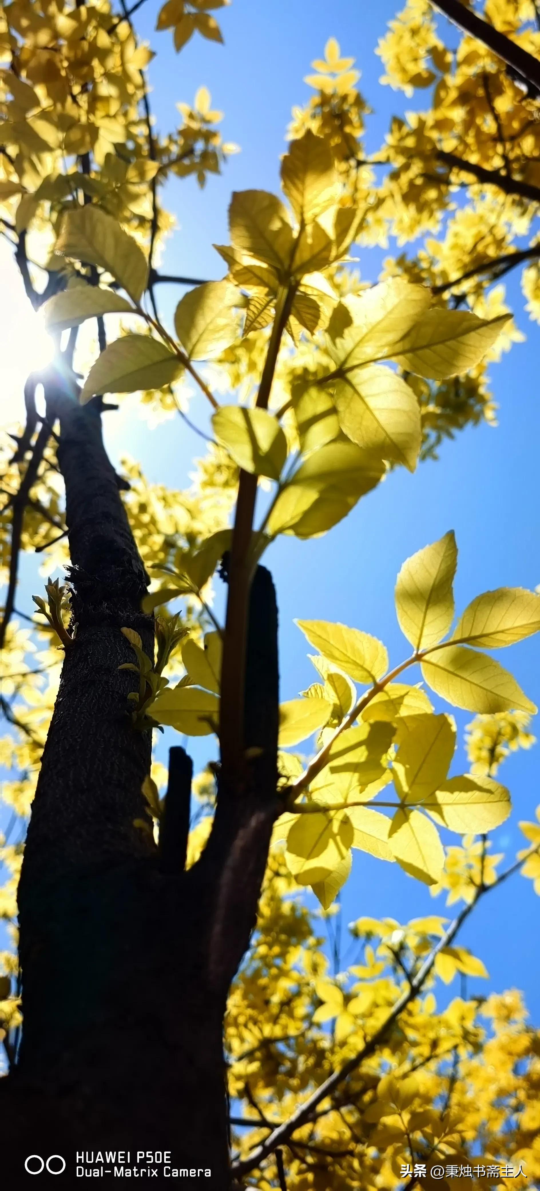 我的一点学书经验，或者说选帖经历——都是缘分
