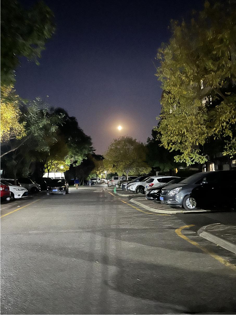 人为什么喜欢怀念从前,人为啥总喜欢怀念过去