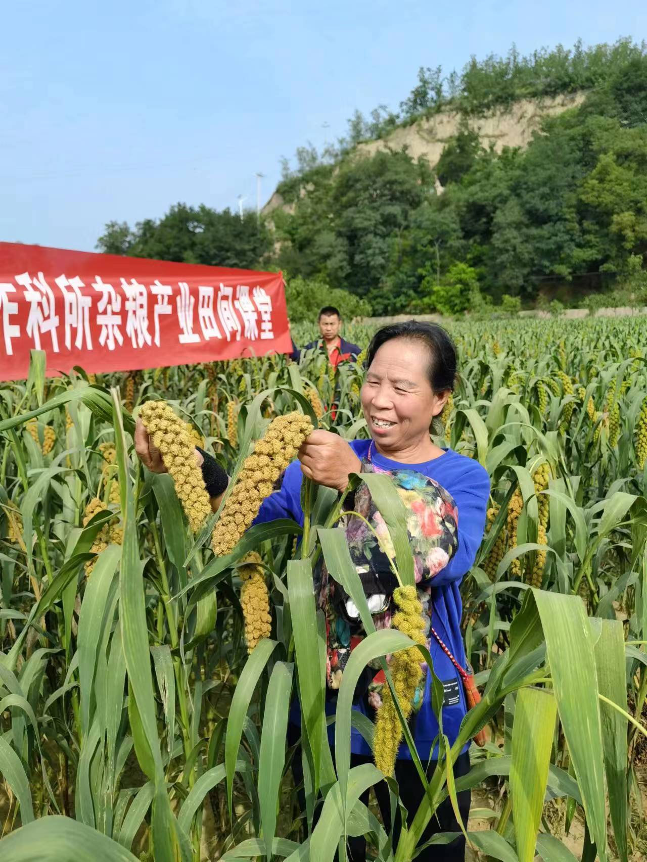 山西兴县小米,吕梁兴县农村发展