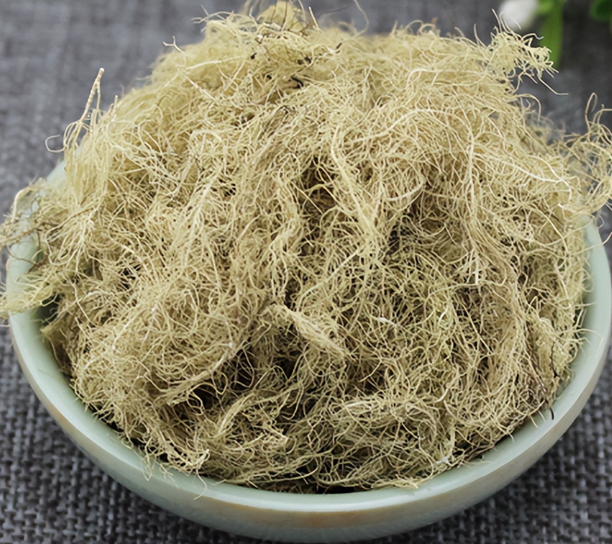 带你识别老君须、松萝