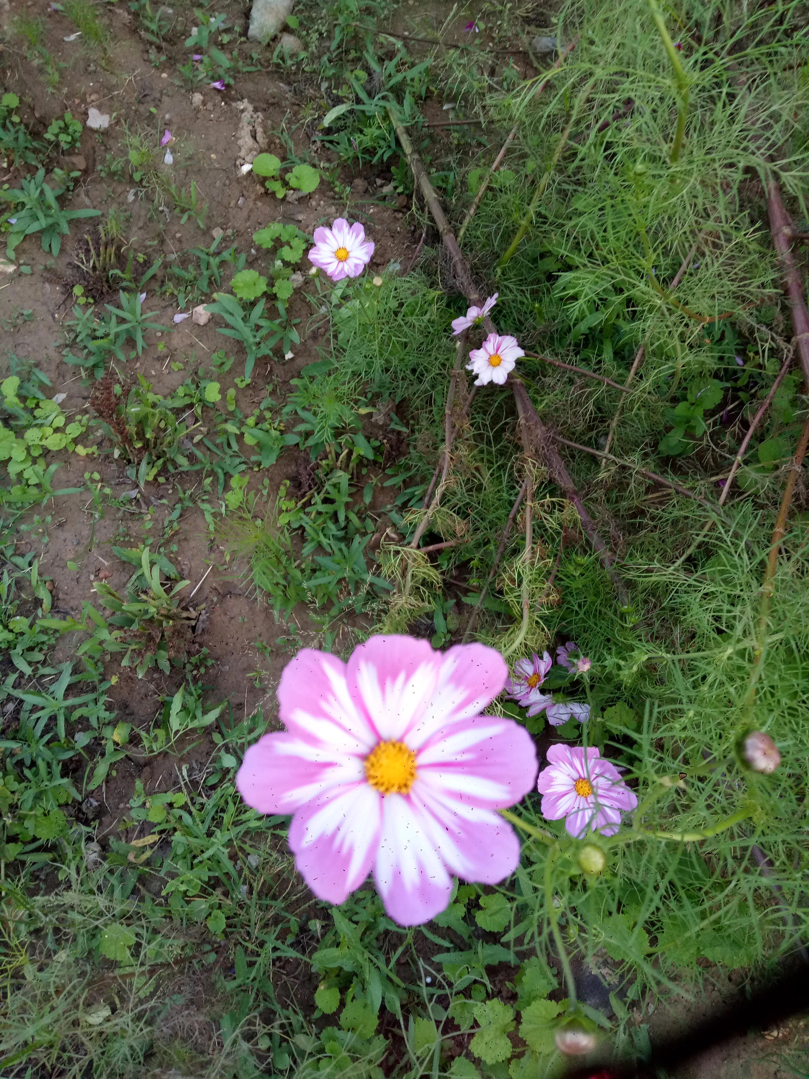 学习说话技巧的方法,会说话的诀窍