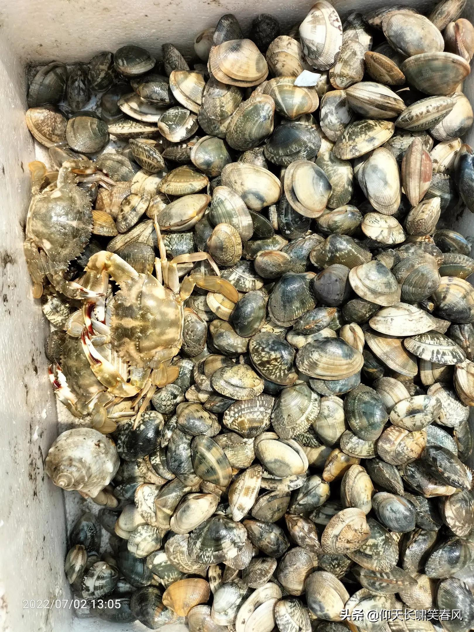 河北印象黄骅港，一个海边港口小镇，从最初的喜欢到慢慢的不习惯