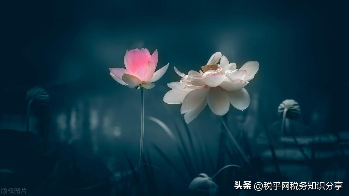 税务风险不处理,税务风险预警不处理可以吗