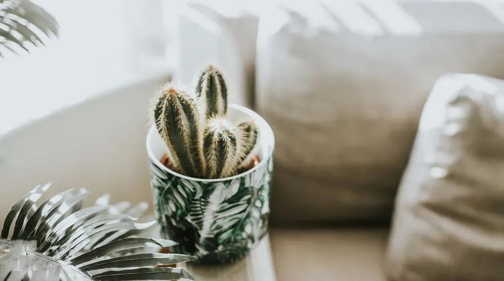 请自己不要耽误自己,永远不要耽误自己人性解读