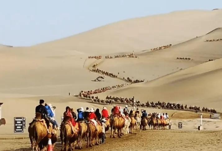 点赞还是*制抵**？敦煌鸣沙山月牙泉景区堵骆驼引发热议