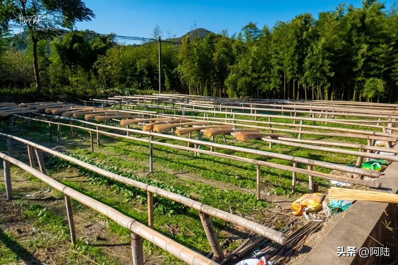 无意间路过太公堂村,邂逅了余杭“竹”功夫,人文风景挺不错