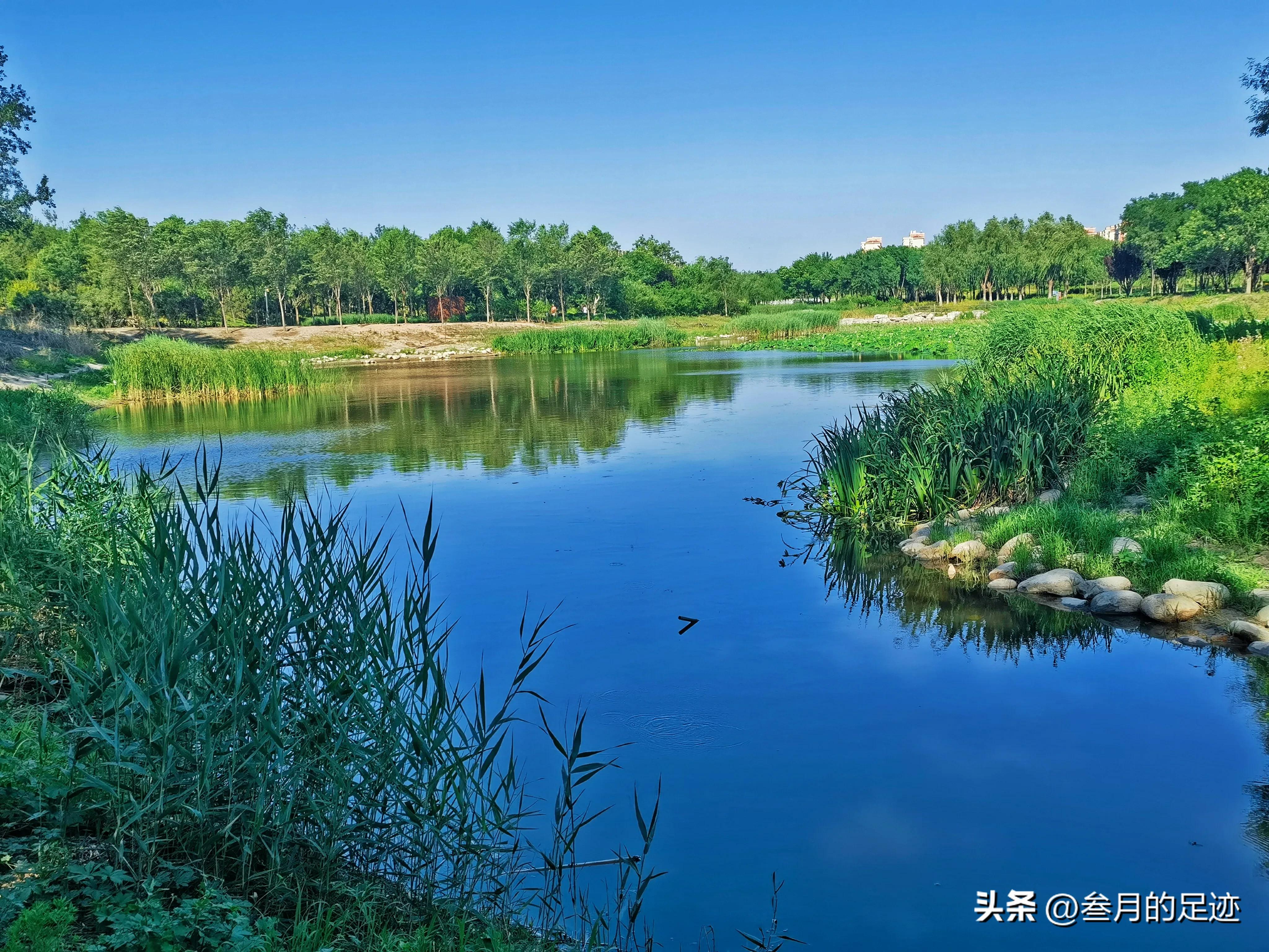 北京有铁道的公园,北京有哪些免费网红公园