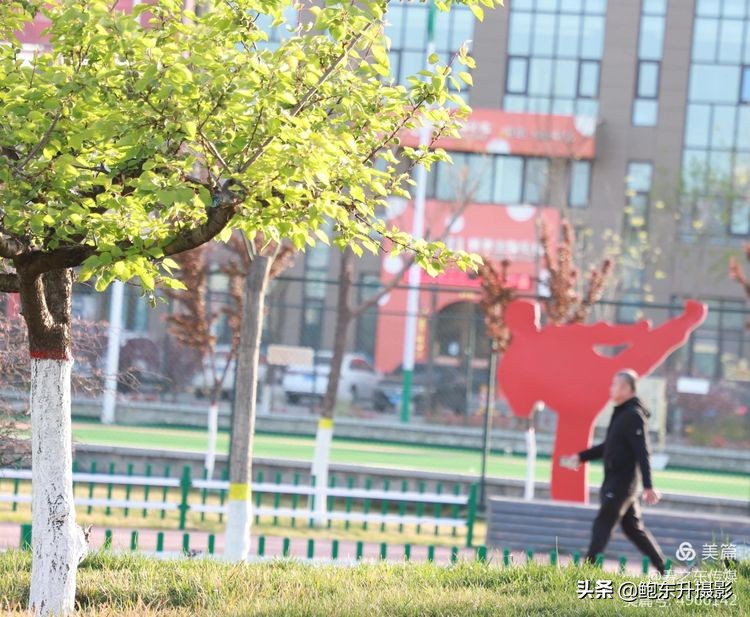 清晨的公园静态美和动态美,运城体育公园夜间灯光