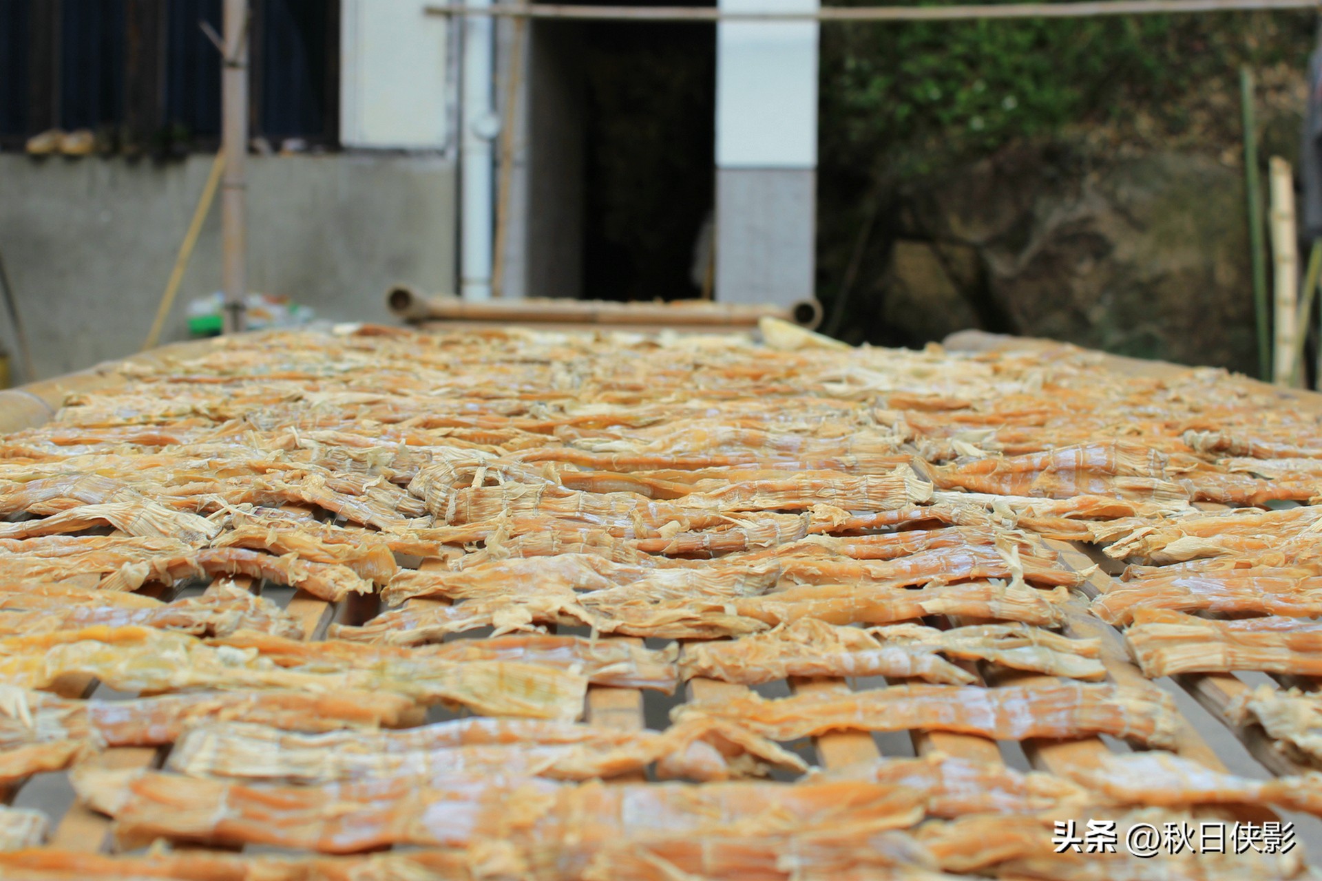 杭州自驾一日游景点推荐春季,这个季节杭州附近的旅游景点推荐