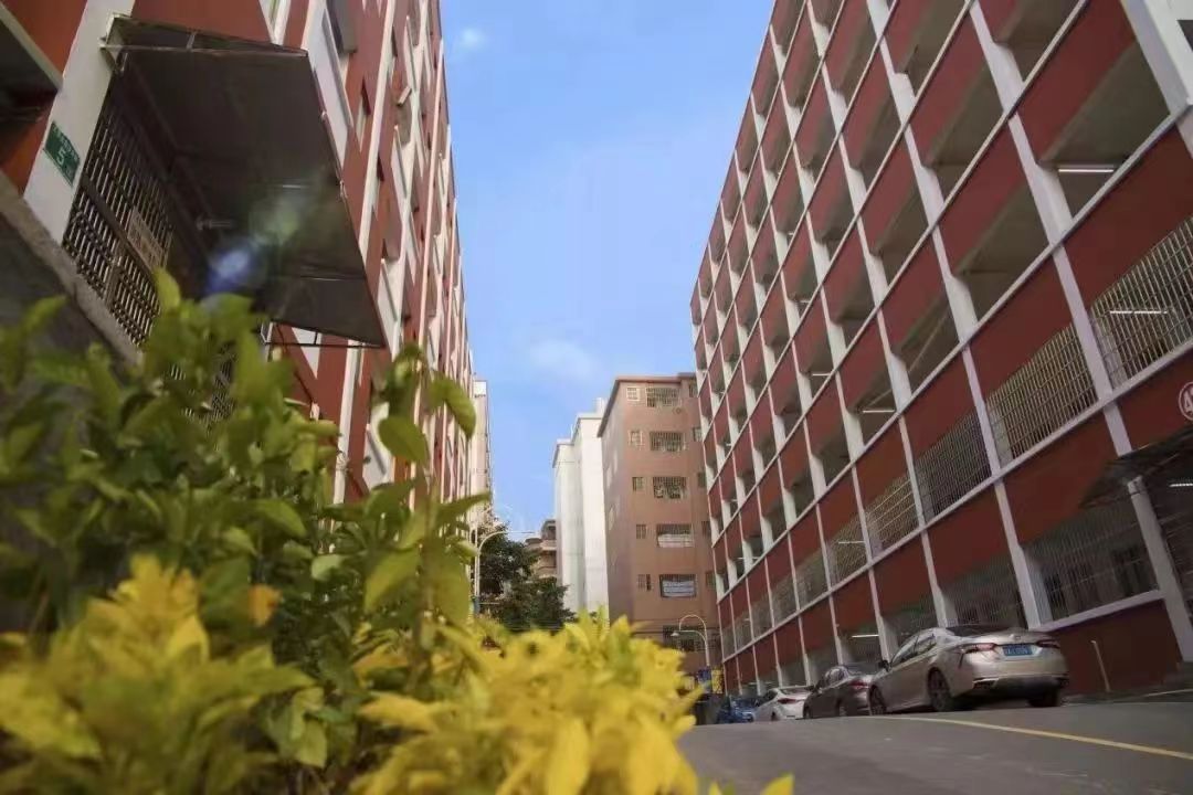 当教师一年存款,在南方当老师能一个月50万吗