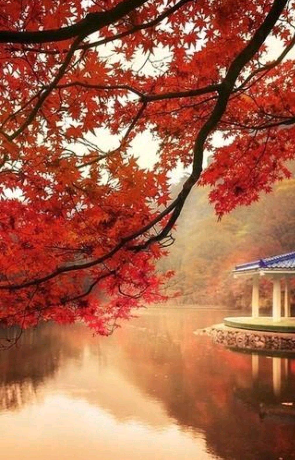 散文：金秋如诗，时光简静，人到中年，流年染香