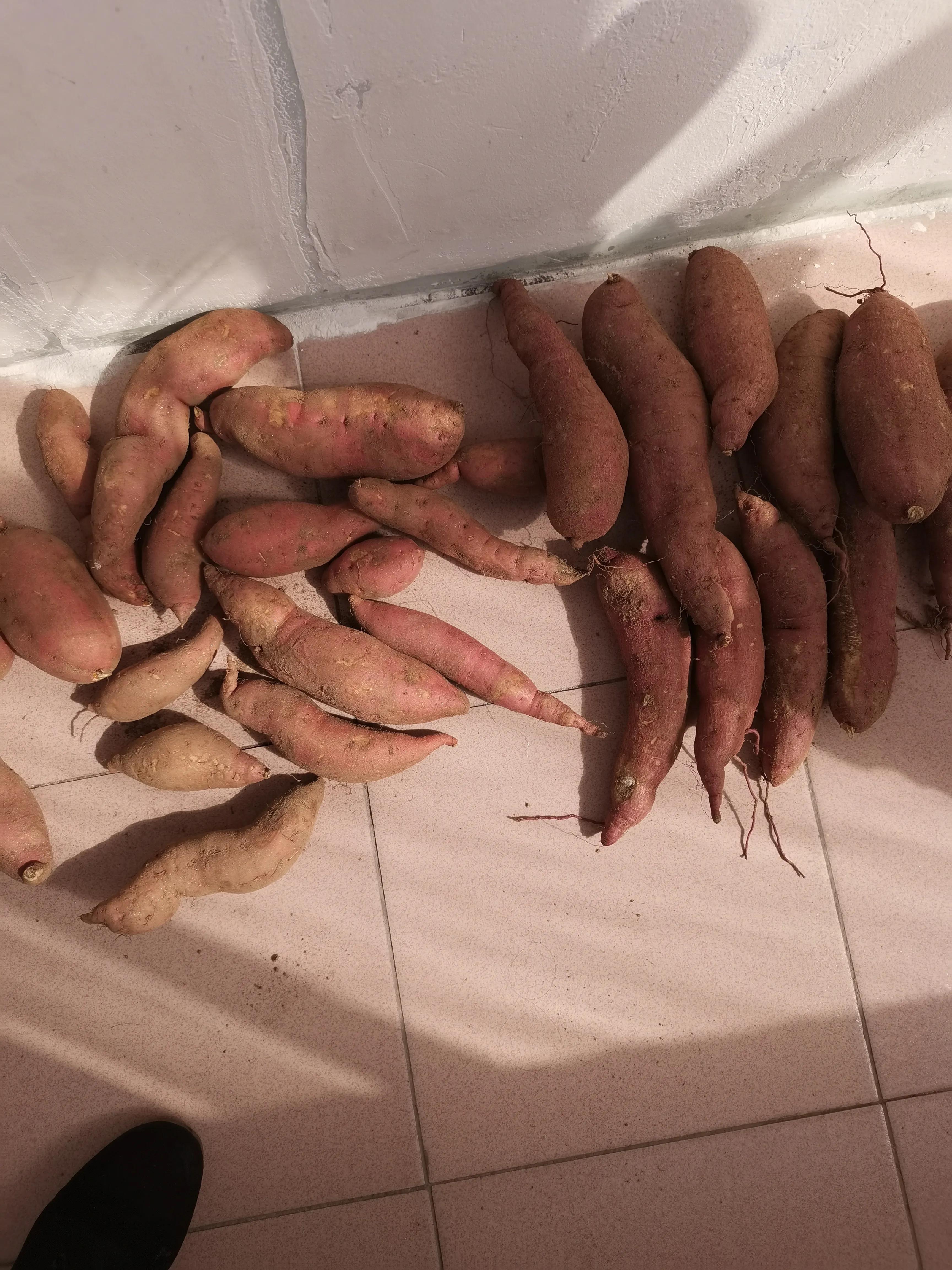 中秋节的收获与感悟,中秋收获满满幸福