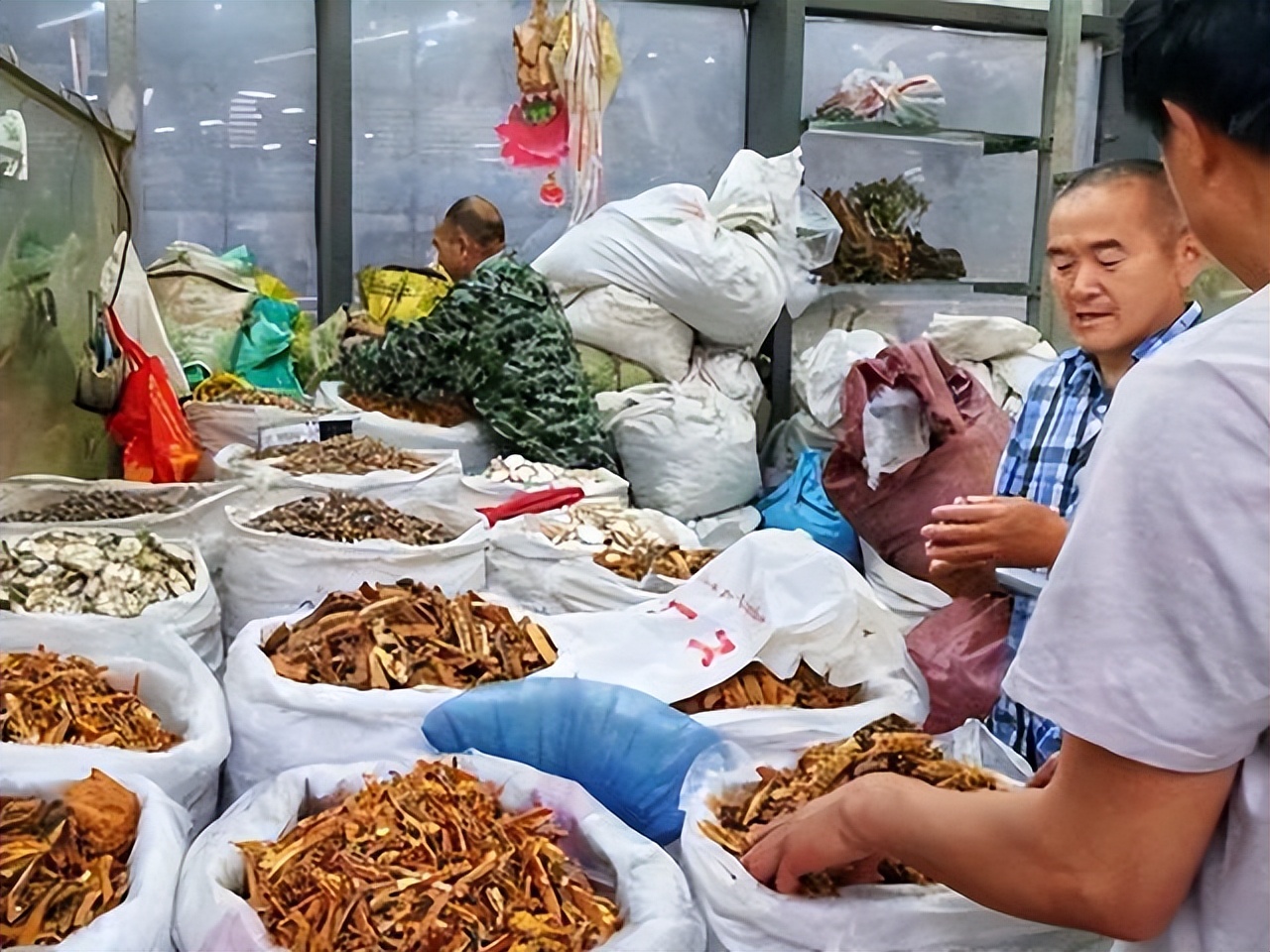 云南旅游注意事项及防坑,去云南旅游避雷