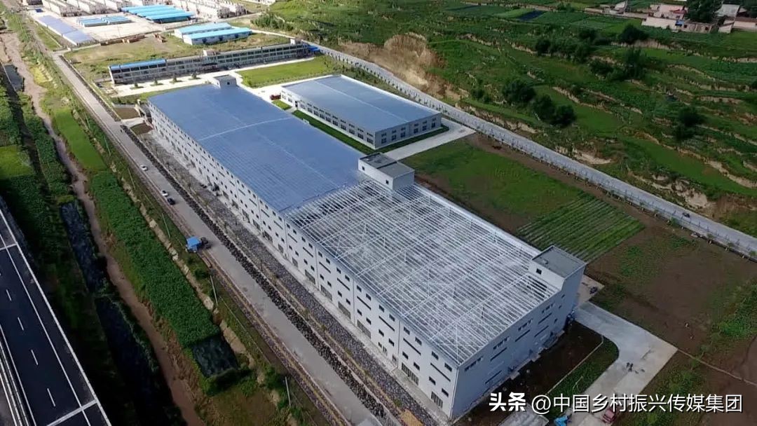 政府扶持乡村振兴的项目有哪些,2024乡村振兴政府补贴重点项目