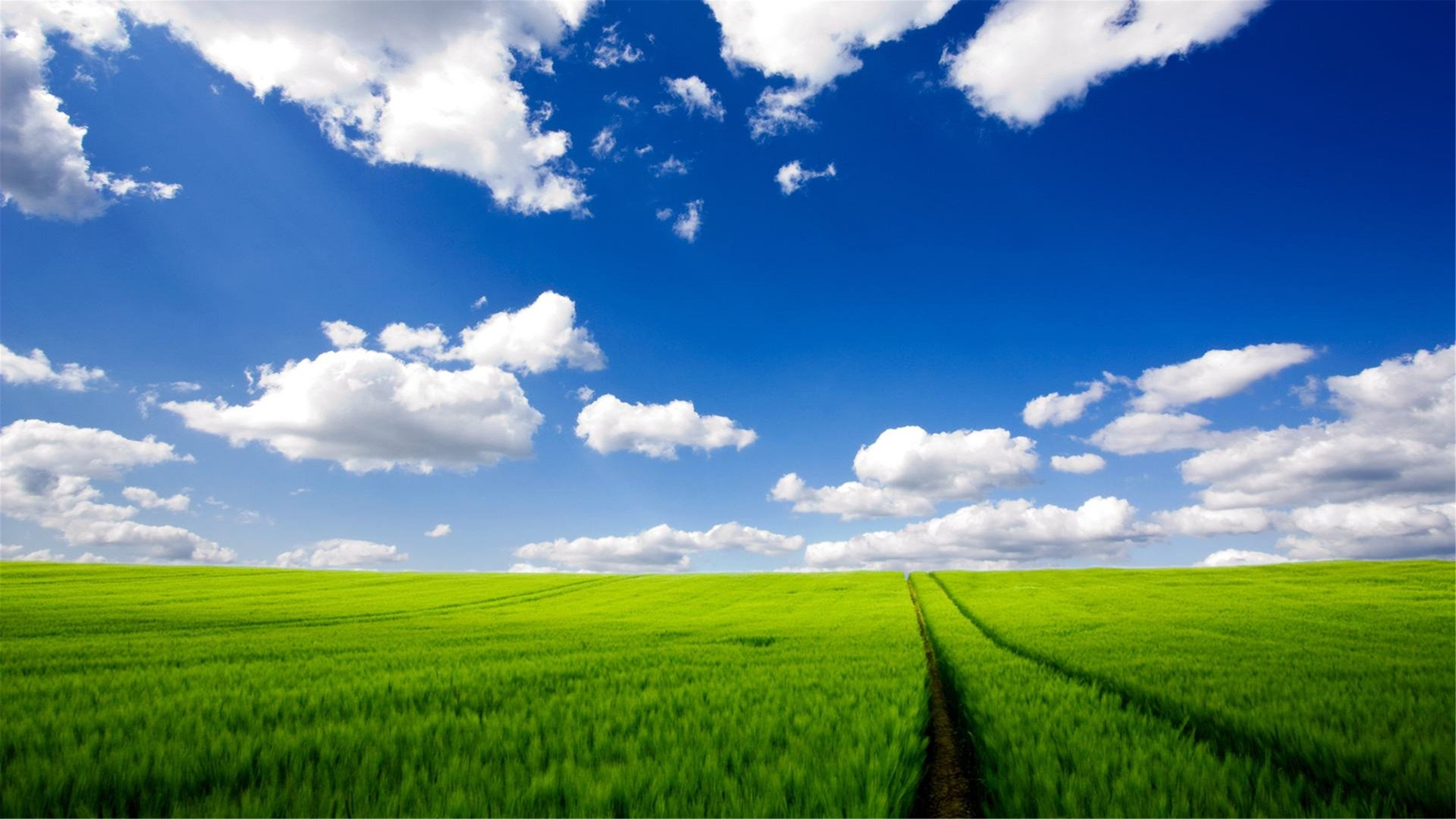 高清壁纸青青草原3840×2160