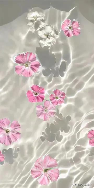 关于爱情伤感的句子,关于爱情我们了解的太少莫文蔚