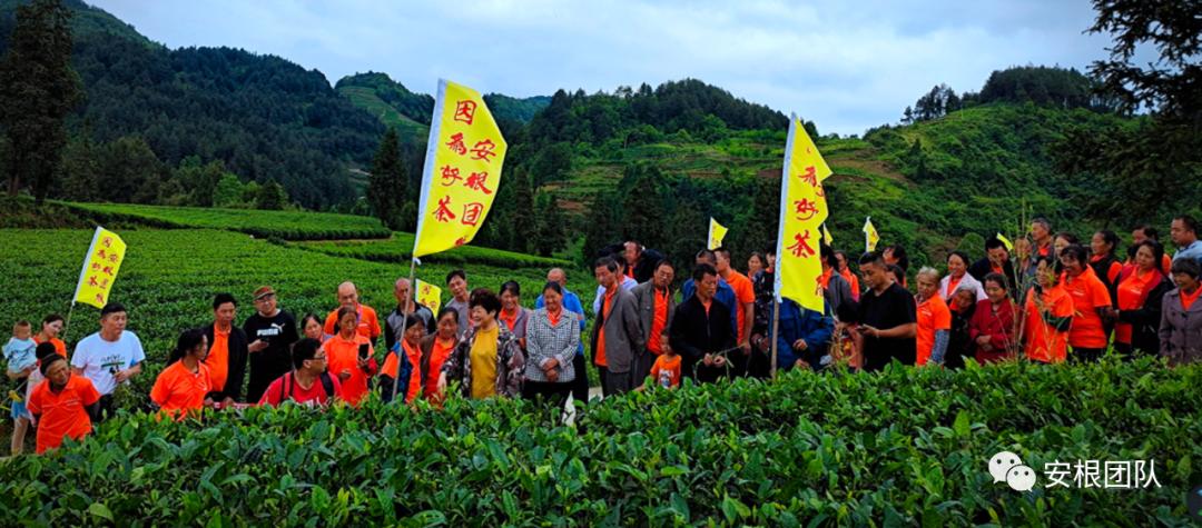 如何引导农民合作社发展,我国农民合作社发展的政策机遇