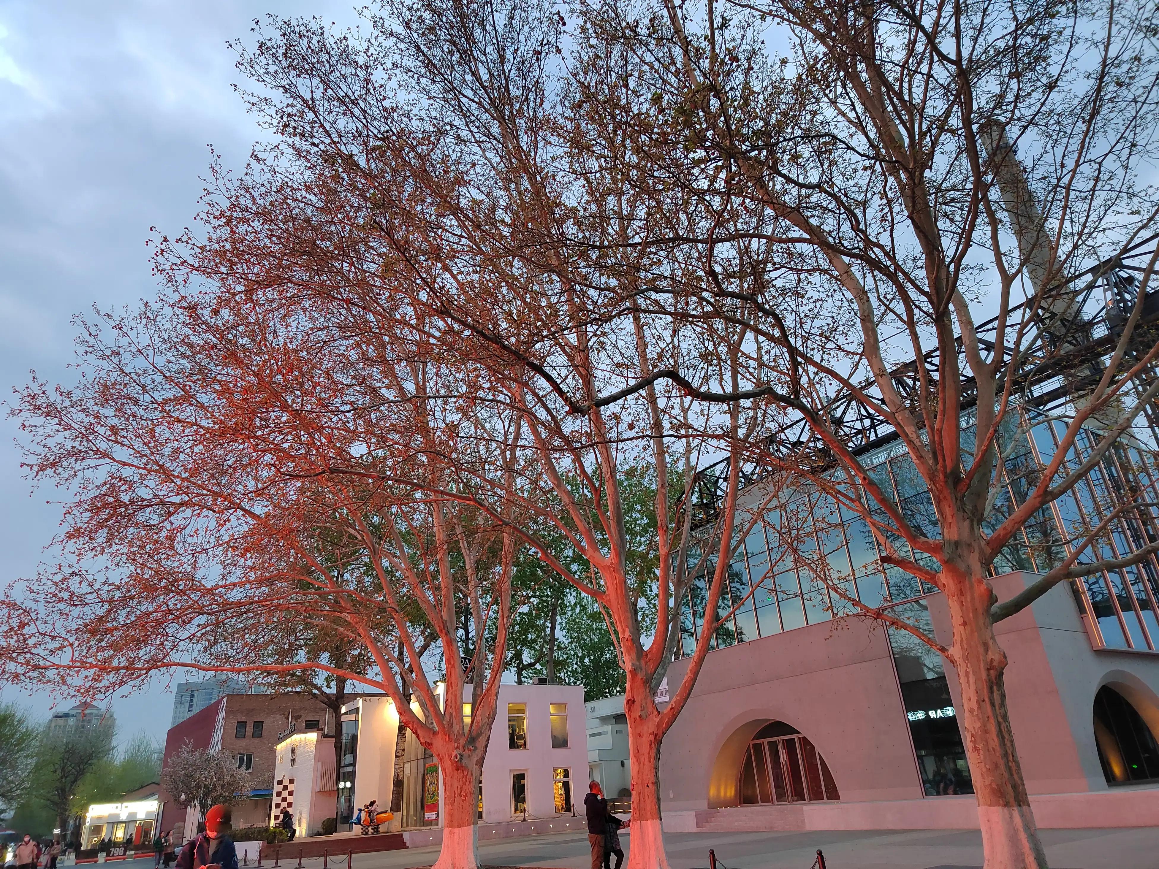 北京798哪个地方好玩,北京798一日游攻略国庆