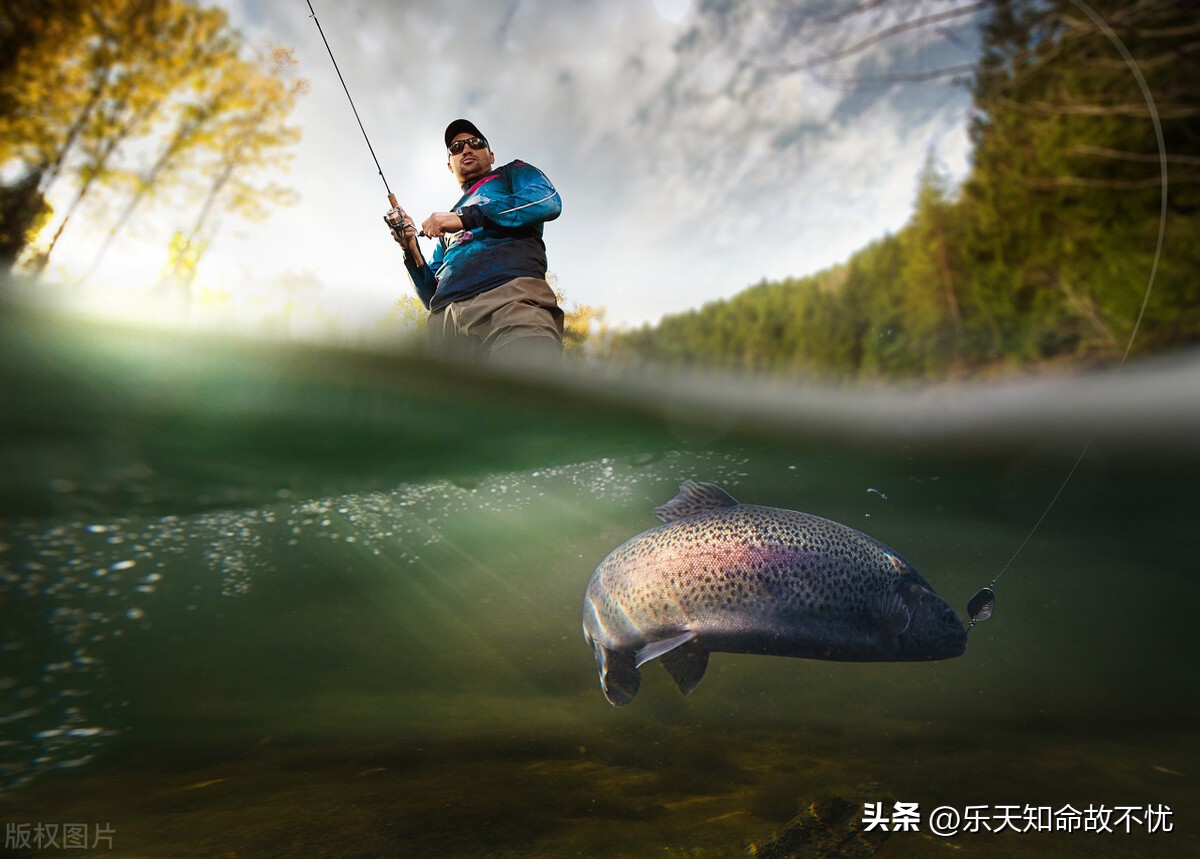 杂文系列八十八：“你考虑了鱼的感受？”