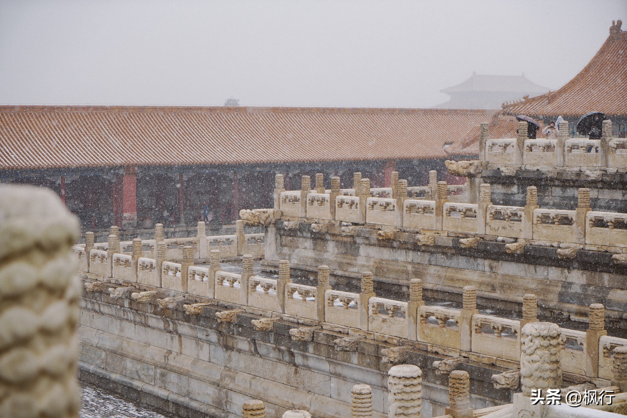 故宫开启雪景模式北京迎今冬初雪,北京下雪去哪里看故宫最好看