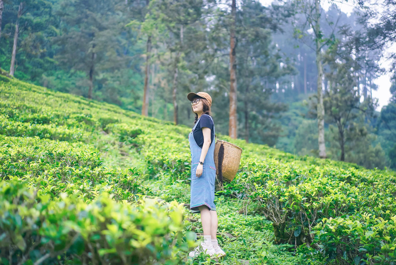 斯里兰卡旅游攻略必去景点,斯里兰卡最佳旅游攻略
