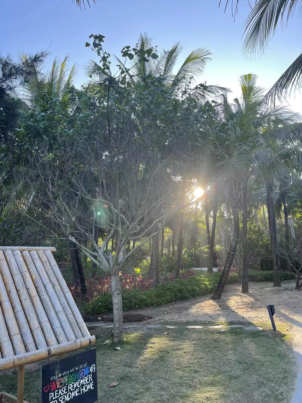 三亚海棠湾海边跑车兜风,三亚太阳湾游记