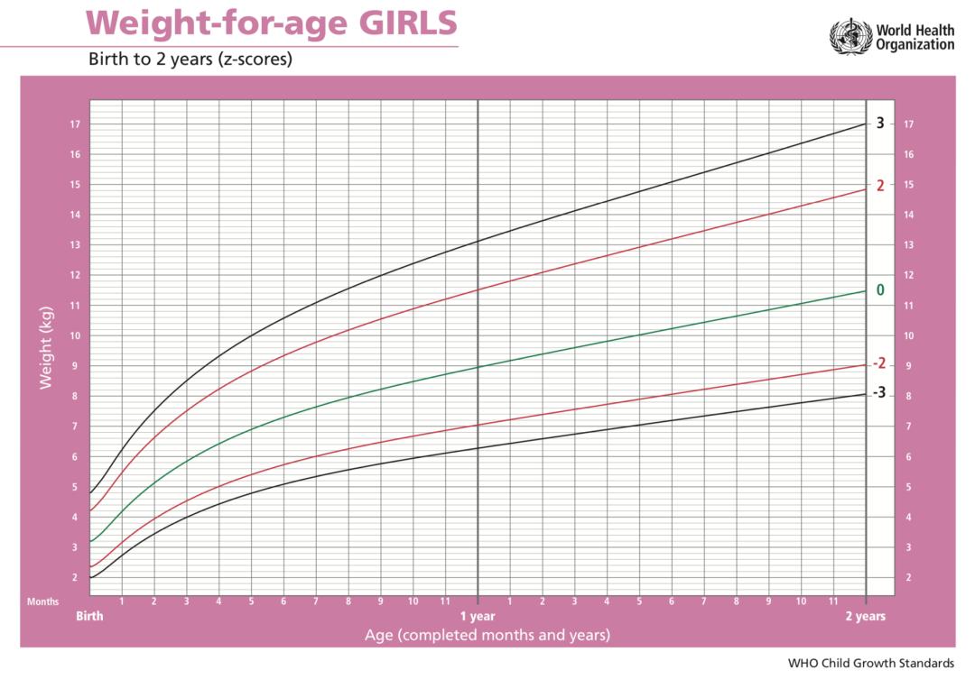 孩子营养吸收不好偏瘦怎么办,肠胃不吸收营养越来越瘦怎么调理
