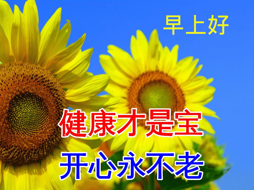 九月早上祝福,九月九早上好的祝福视频