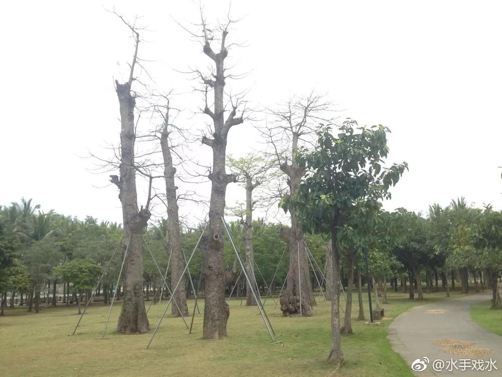 海口观澜湖一日游游记,海口自驾云南游记