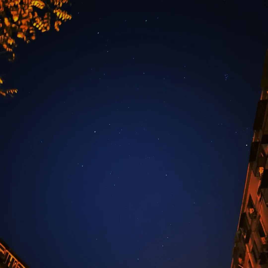 90后不结婚95后不恋爱,为什么95后不愿意谈恋爱