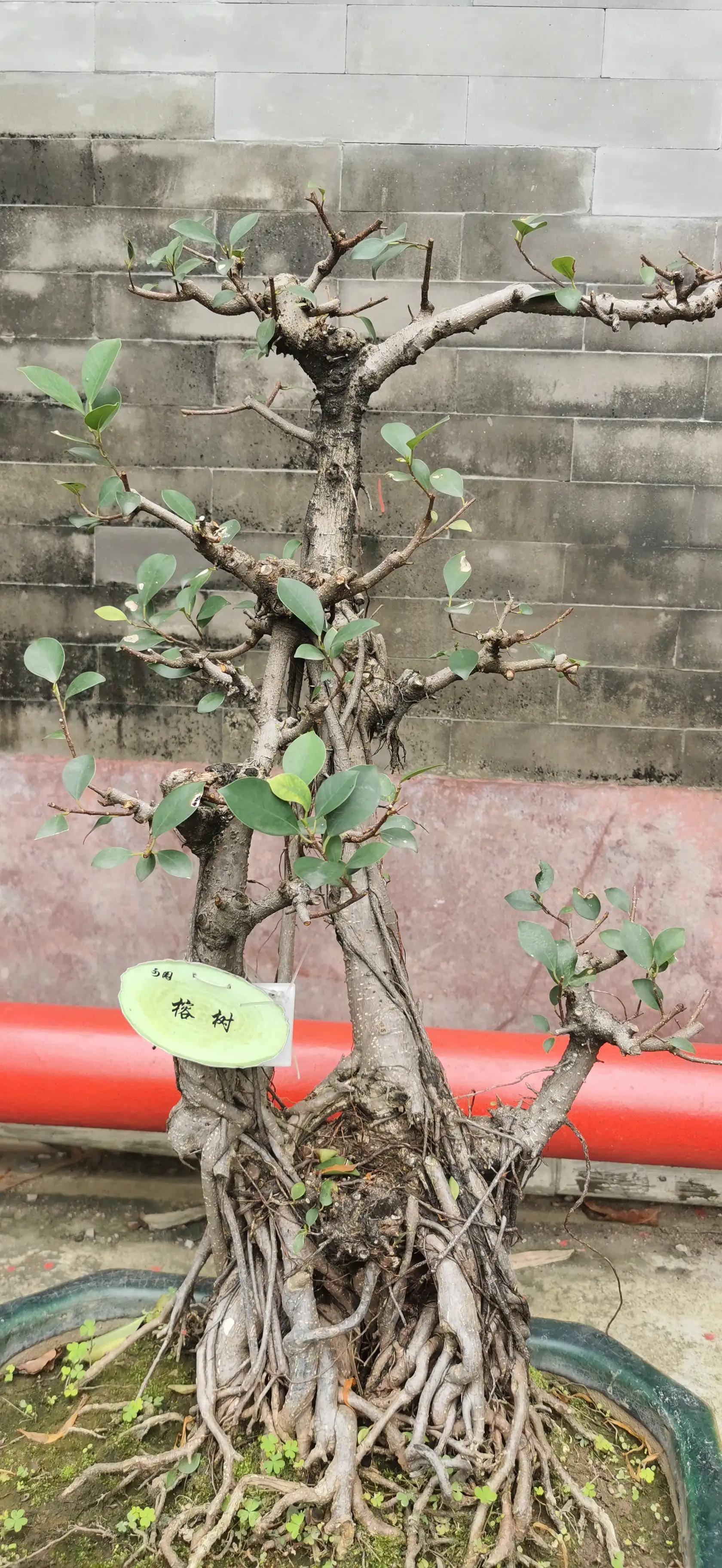 东莞出发自驾游2天游攻略,东莞出发三天自驾游最全攻略