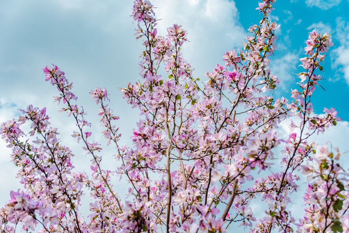 做好这18件小事，会让你感到更幸福