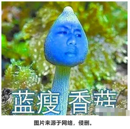 蓝瘦香菇知乎,蓝瘦香菇股票