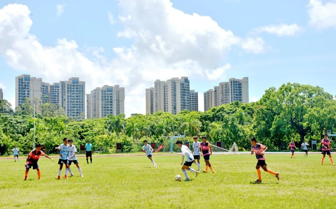 男女足世界杯冠军,男女足都夺冠