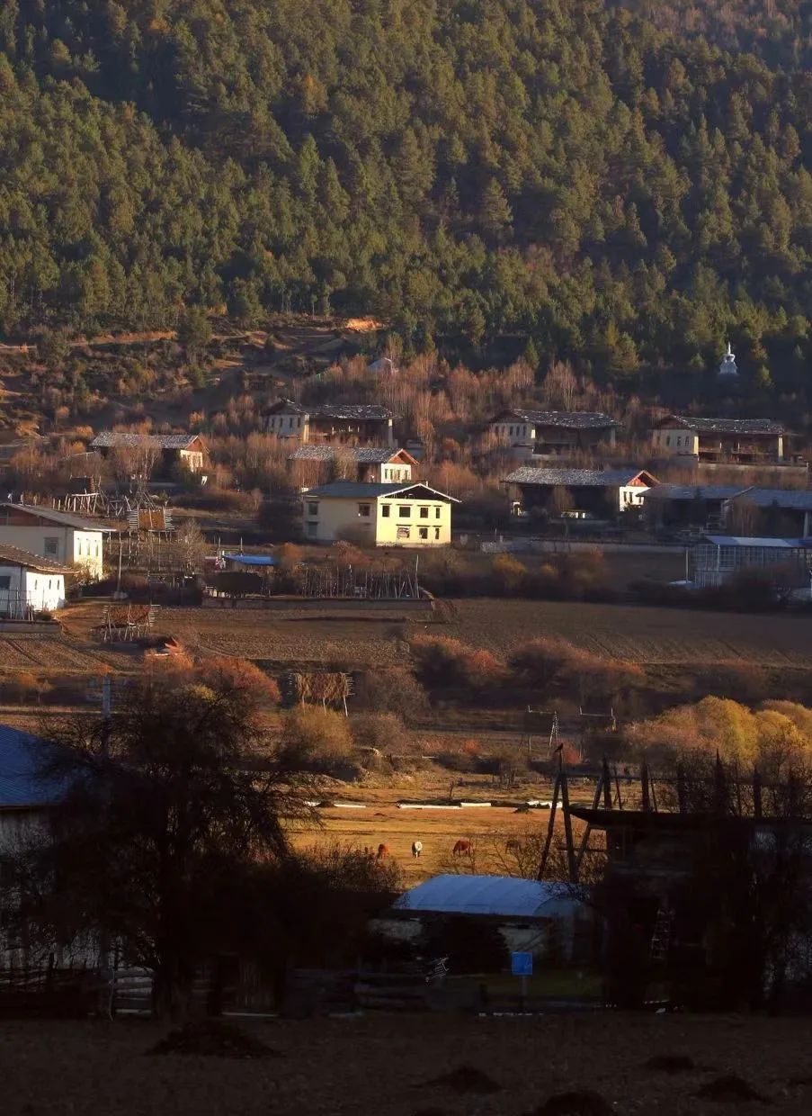 云南西双版纳跨省游最新通知,云南跨省游最新通知