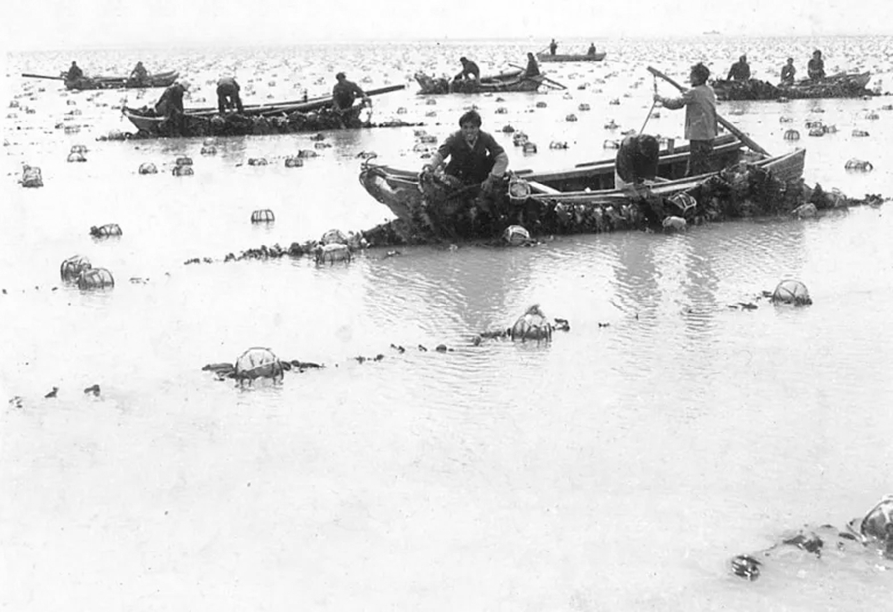 汉奸张本政怎么被抓的,张本政得到哪个天皇接见