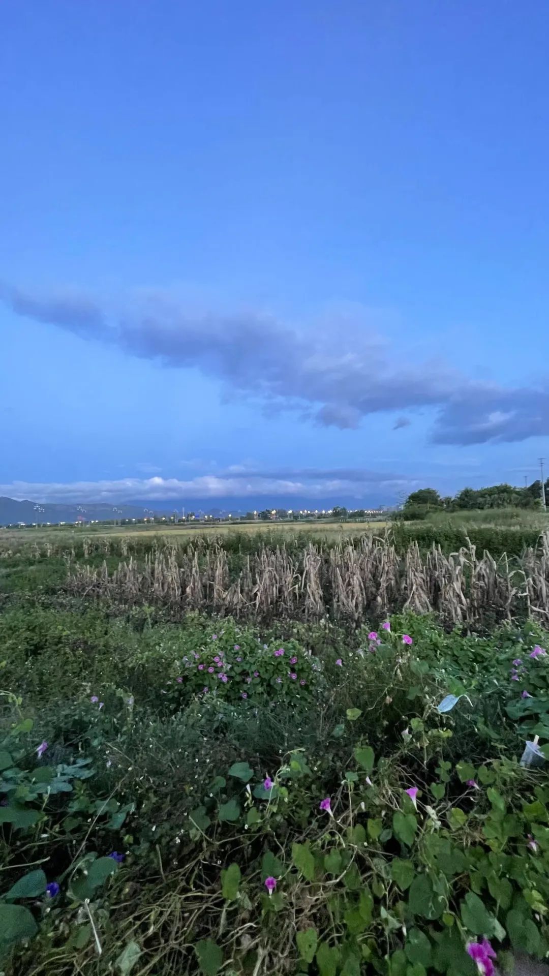 外地朋友来四川吃美食,外地朋友来四川吃苍蝇馆子