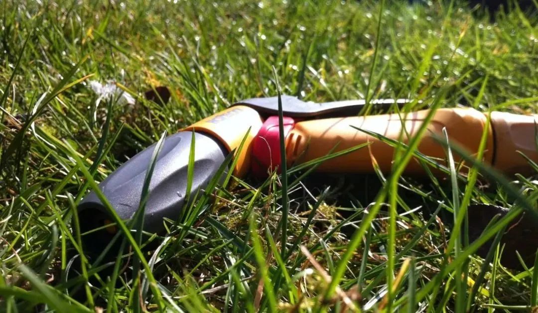 在英国自己种菜什么体验,在英国种菜小技巧有哪些