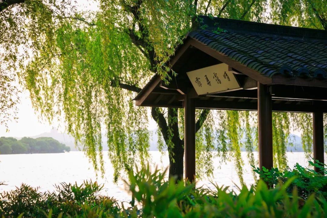 120句中华名著经典再忙也要背下来,100篇名著经典语录