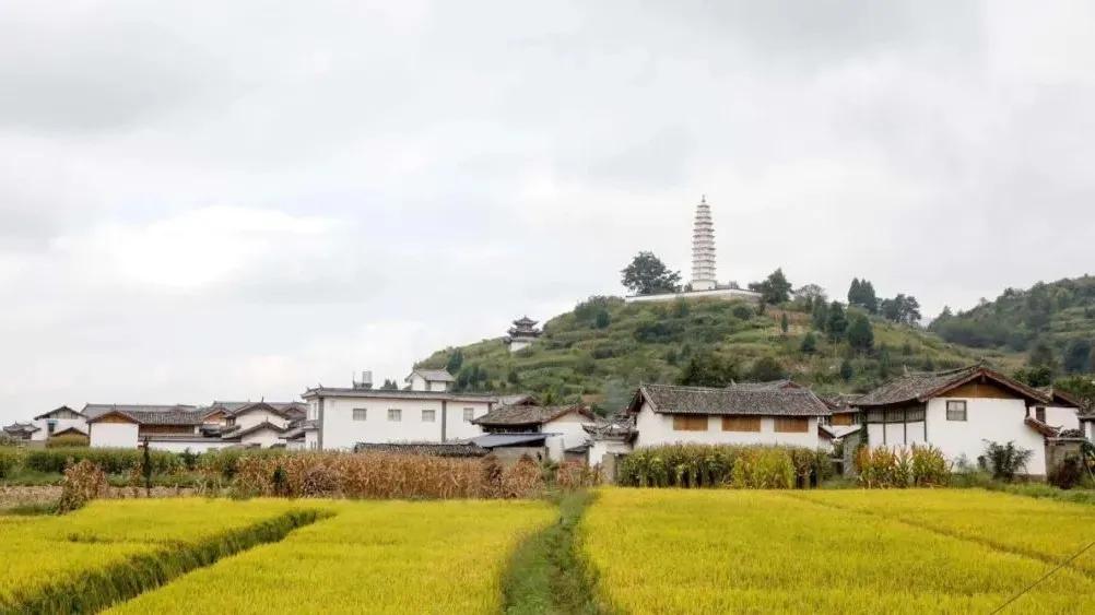九河沿岸的历史,九河蜿蜒源远流长