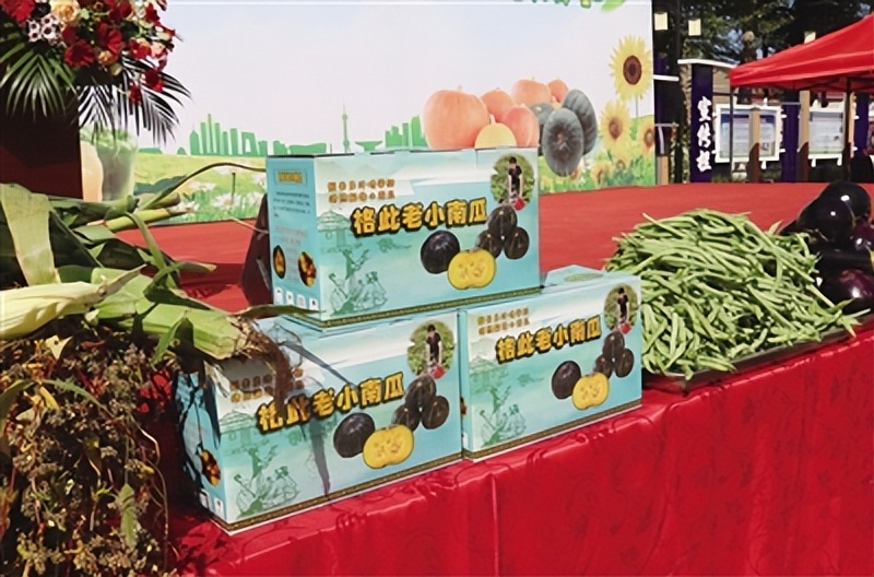 种好“菜园子”拎稳“菜篮子”——呼和浩特市打好“组合拳”推动蔬菜产业高质量发展