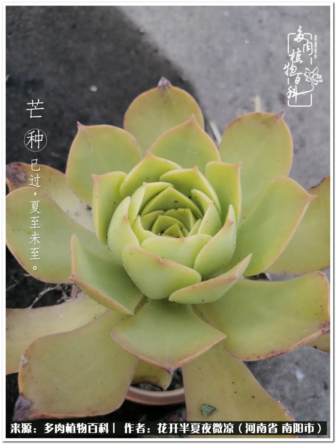 万事开头难只要坚持才有收获,万事开头难只要肯干就会有结果