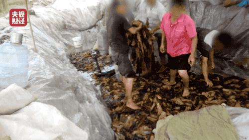 分享你知道的315行业内幕,315事件都曝光的9个行业