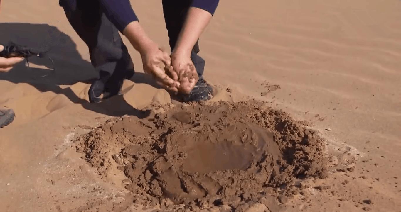 中国神奇胶水让沙漠变绿洲,中国科学家发明胶水沙子变土壤