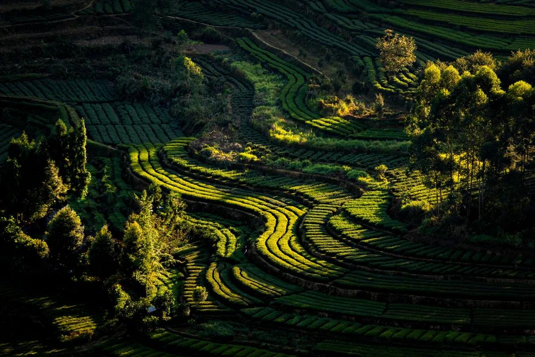 荣威穹窿,荣威有宝藏车吗