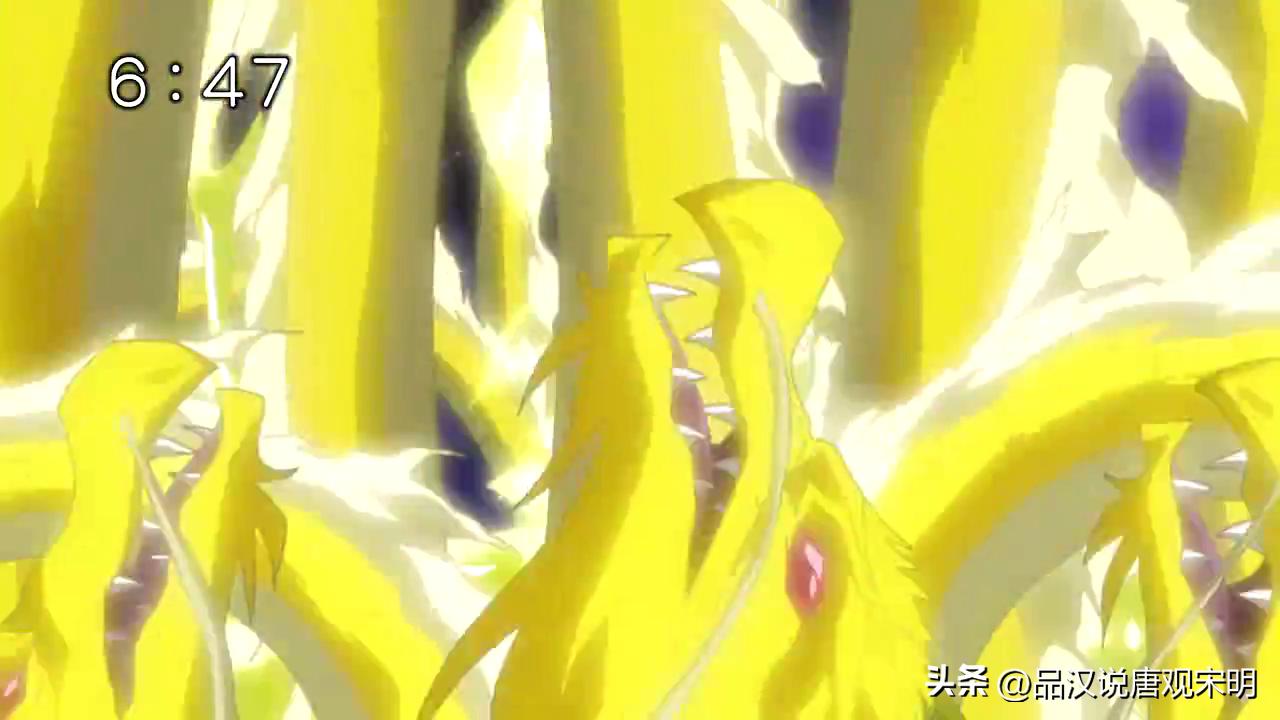 万字深度解读,万字全面解析