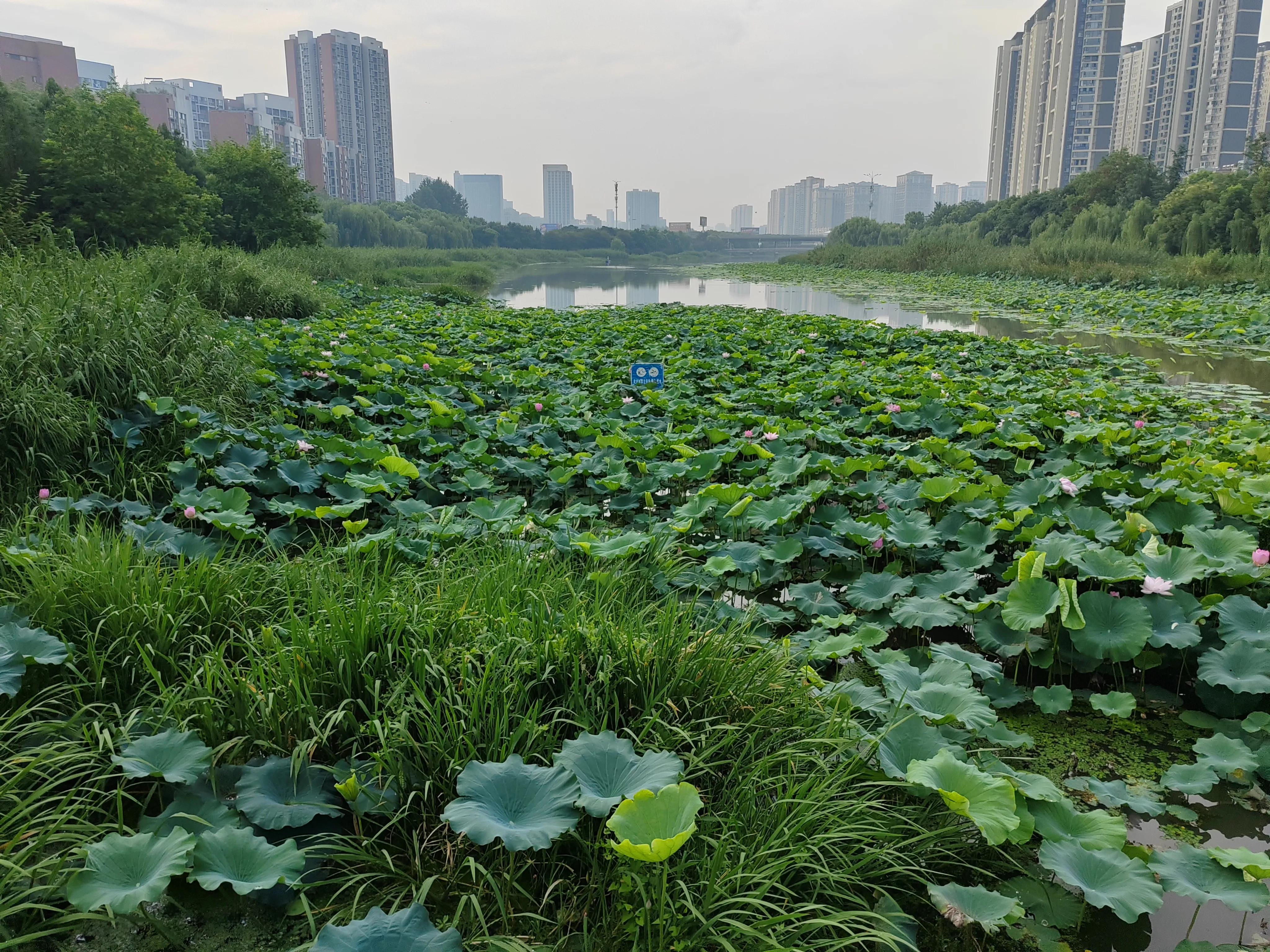 致富三法,致富三招