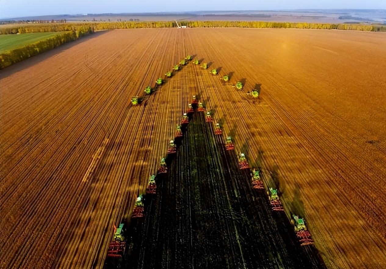 谁在砸中国人饭碗？200万年形成的“土中熊猫”，被4元贱卖给美日