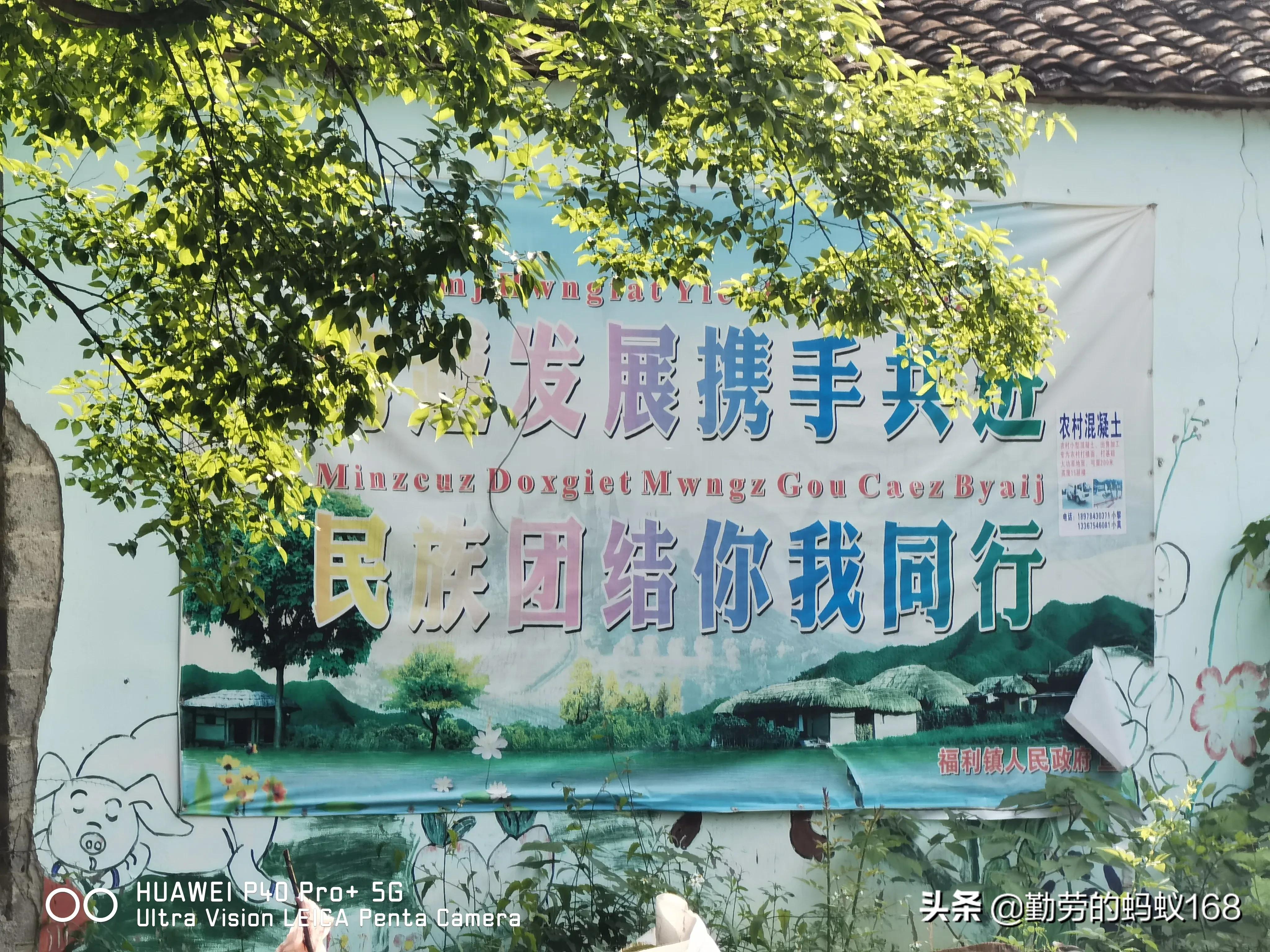 小米11ultra3999值得买吗,小米11ultra和荣耀magic4