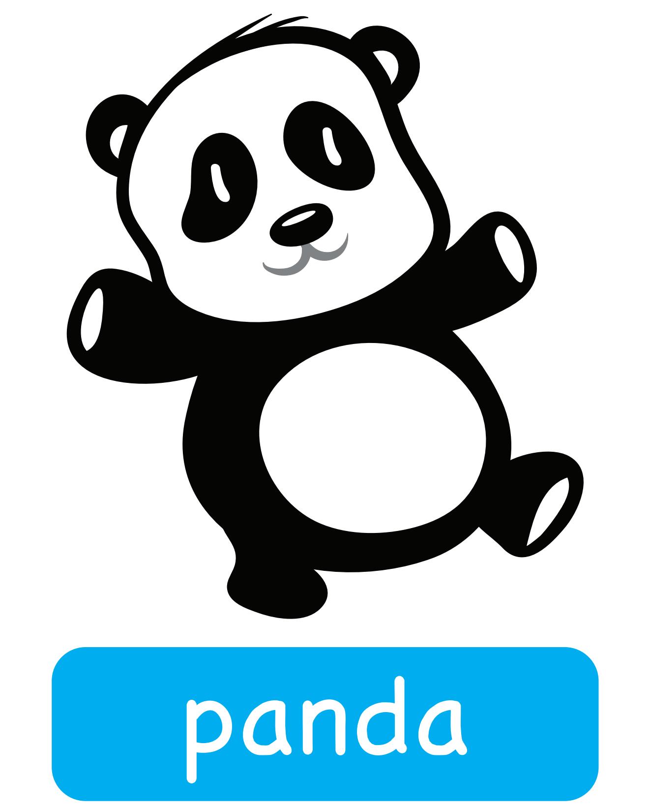 图说英语单词：高清动物类卡片，一图一单词